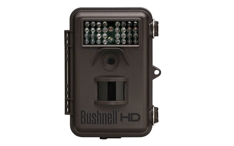 Bushnell 8MP Trophy Cam HD Trail Camera Review |Best Hunting Gear ...