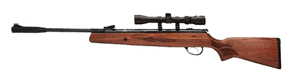 Hatsan 95 Air Rifle Combo Review