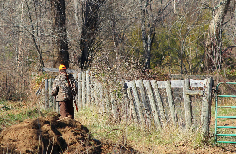 Hunting Trip